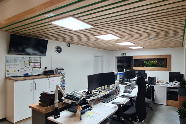 Warum Vollspektrumlampen die gesündere Wahl fürs Büro sind